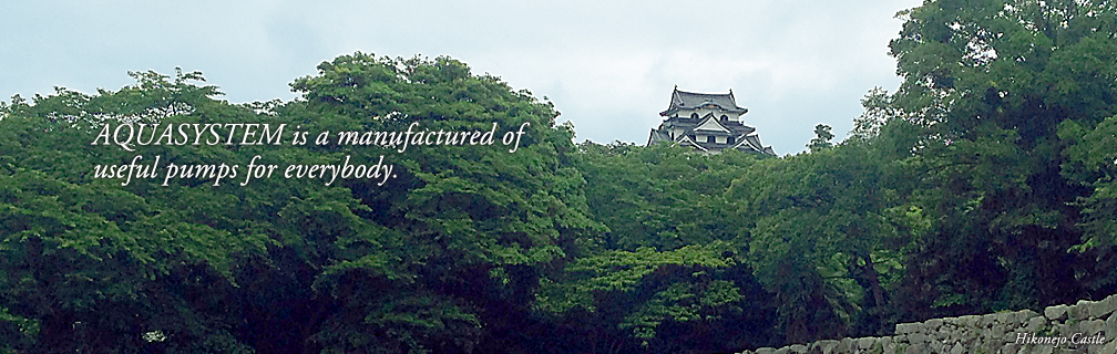 Hikonejo Castle